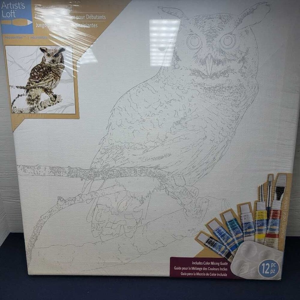 Artist's Loft Owl Painting Starter Set Stretched Canvas 12x12 Acrylic Kit